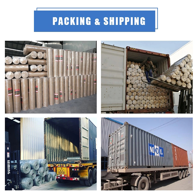 H7fca686c71c049aeaef609e94c56e85a3.jpg_