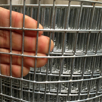 galvanized welded wire mesh