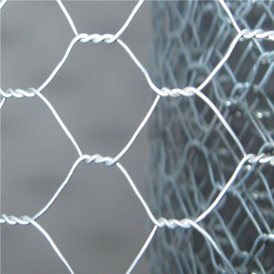 Galvanized Steel Weave Hexagonal Wire Mesh